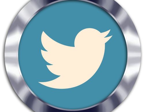 Dieses Foto zeigt das Twitter-Symbol in einem metallisch wirkenden Rahmen.